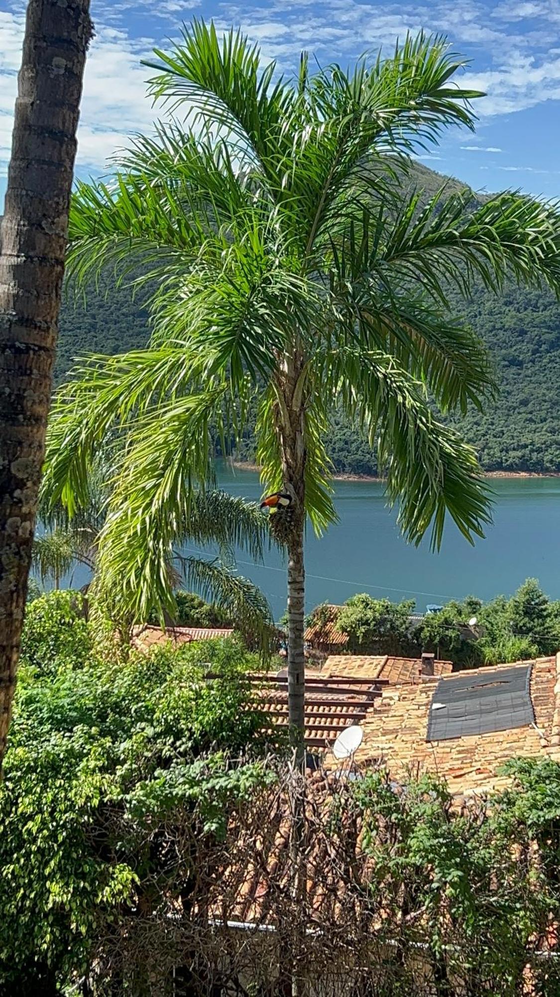 Mirante Do